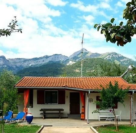 Olive Summer House Chrysi Ammoudia Exterior foto