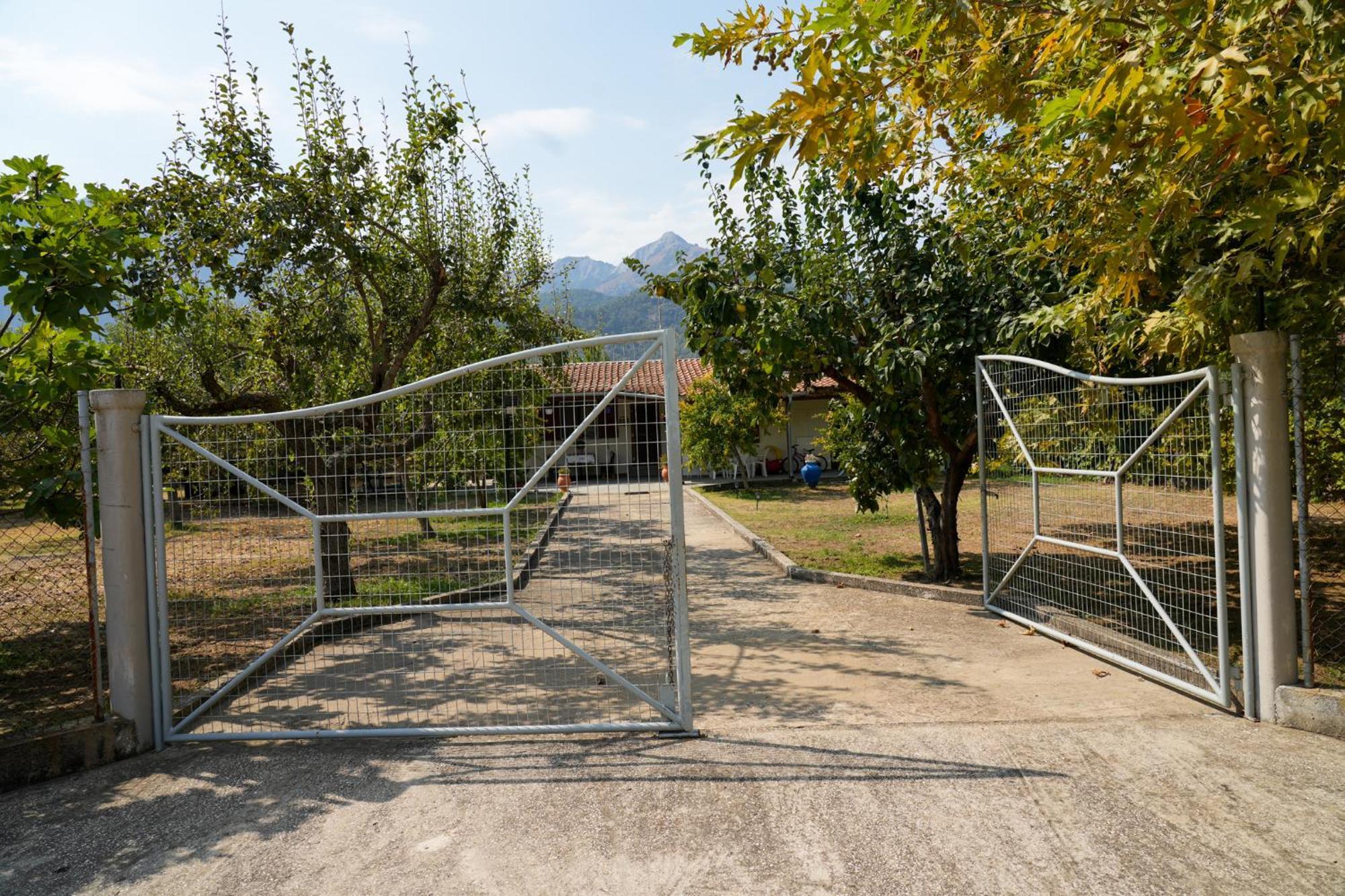 Olive Summer House Chrysi Ammoudia Exterior foto