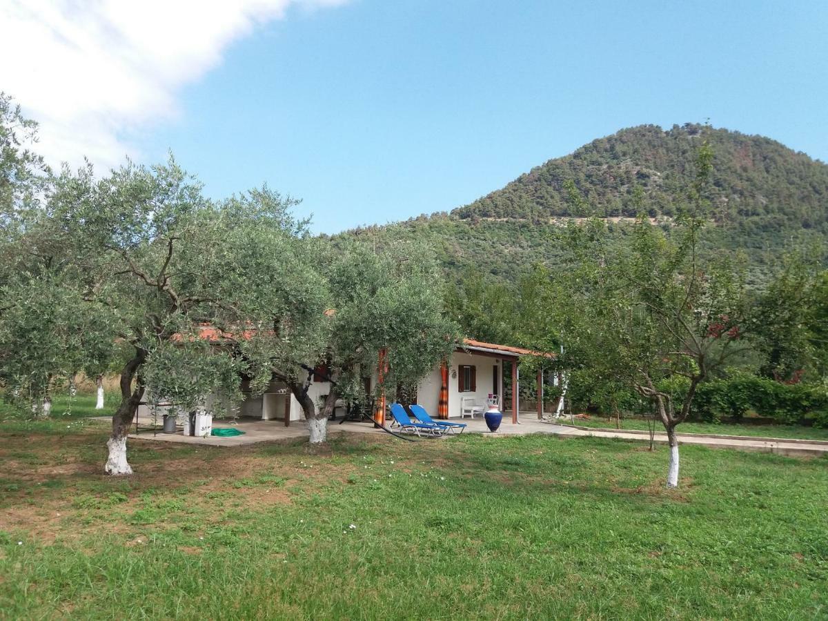 Olive Summer House Chrysi Ammoudia Exterior foto