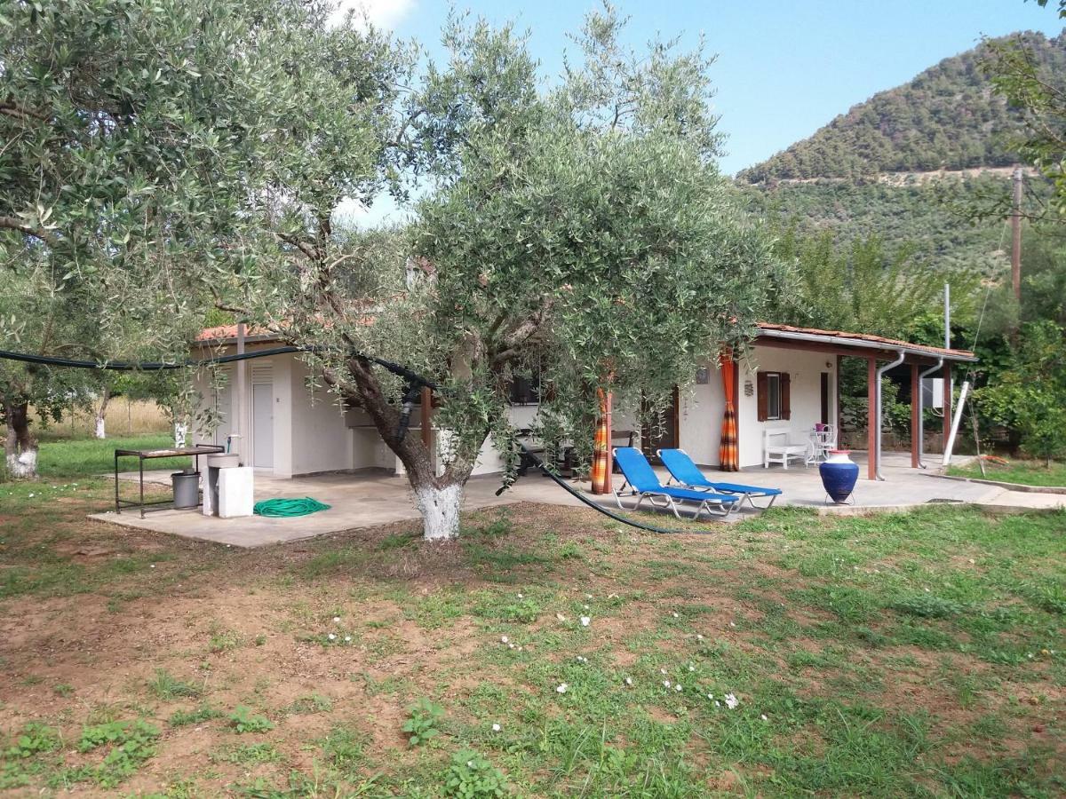 Olive Summer House Chrysi Ammoudia Exterior foto